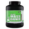 medisys double mass gainer
